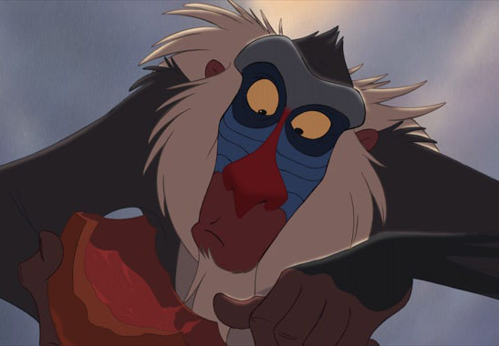 Character Rafiki