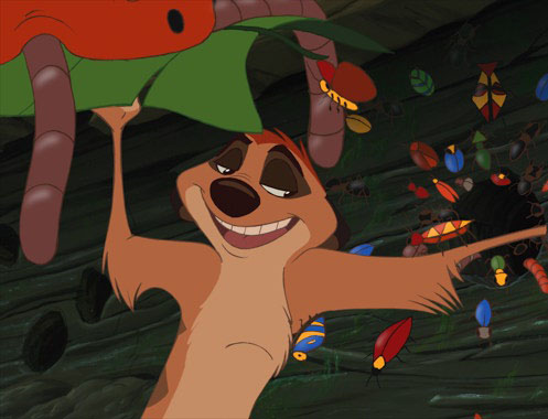 Character Timon